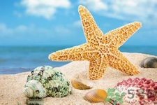 海星可以離開水嗎？海星離開水還可以活多久？