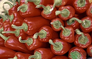 辣椒的熱量高嗎?辣椒的熱量是多少 辣椒的熱量高嗎?辣椒的熱量是多少