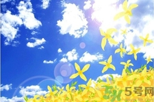 如何應(yīng)對(duì)秋老虎？秋老虎如何養(yǎng)生？