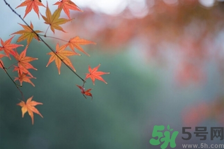 秋老虎如何謹(jǐn)防皮膚病？秋老虎如何預(yù)防皮膚??？