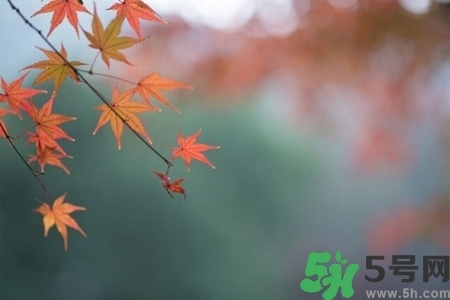 秋天換季病有哪些？秋天該如何保健養(yǎng)生呢？