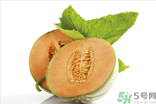 哈密瓜榨汁要加水嗎？哈密瓜榨汁搭配什么？