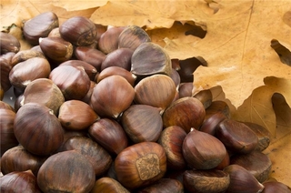 吃板栗上火嗎？板栗吃多了會(huì)上火嗎？