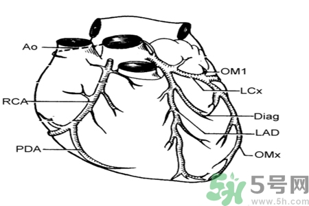 長期酗酒會引起心絞痛嗎？引起心絞痛的原因有哪些？