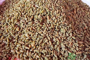 吃葡萄干有什么好處?葡萄干的功效與作用 吃葡萄干有什么好處?葡萄干的功效與作用