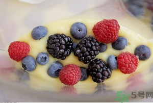 藍(lán)莓布丁怎么做?藍(lán)莓布丁的做法 藍(lán)莓布丁怎么做?藍(lán)莓布丁的做法