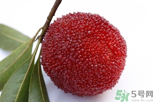 吃楊梅會(huì)胖嗎?楊梅的熱量高嗎 吃楊梅會(huì)胖嗎?楊梅的熱量高嗎