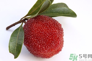 吃楊梅會(huì)胖嗎?楊梅的熱量高嗎 吃楊梅會(huì)胖嗎?楊梅的熱量高嗎