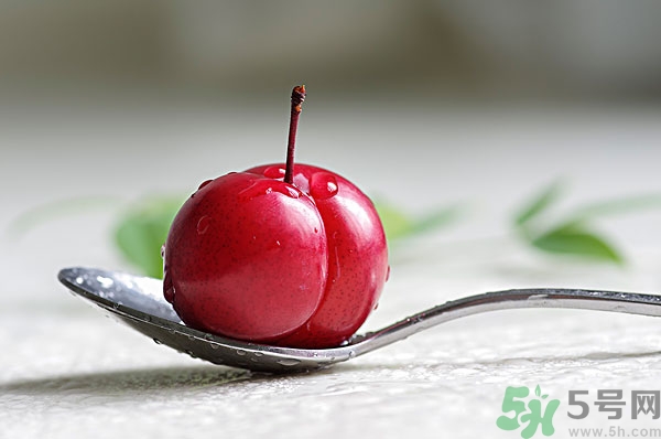 吃李子會(huì)胖嗎?李子的熱量是多少 吃李子會(huì)胖嗎?李子的熱量是多少