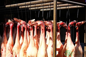 吃鴨肉會(huì)長(zhǎng)胖嗎?鴨肉的熱量是多少 吃鴨肉會(huì)長(zhǎng)胖嗎?鴨肉的熱量是多少