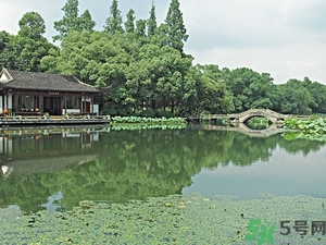 菱角是什么？菱角是什么季節(jié)成熟的？