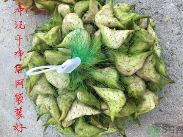 菱角和豬肉能一起吃嗎？菱角和什么不能一起吃？