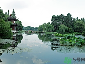 菱角是什么？菱角是什么季節(jié)成熟的？