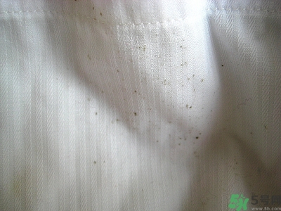 衣服長(zhǎng)黑點(diǎn)怎么洗掉？衣服上長(zhǎng)霉點(diǎn)怎么去除？