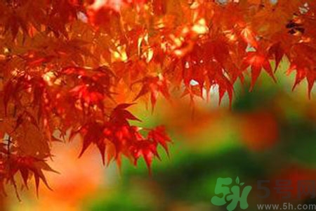 秋燥的表現(xiàn)是什么？小孩如何預(yù)防秋燥？