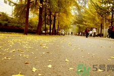 女性秋季防燥需注意哪些？女性秋季防燥吃什么？