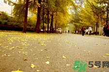 立秋潤肺可以吃什么食物？秋天潤肺可以吃的水果有哪些？