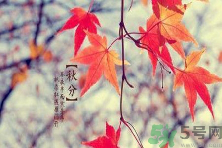 立秋潤肺可以吃什么食物？秋天潤肺可以吃的水果有哪些？