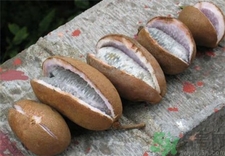 八月炸是什么?八月炸好吃嗎? 八月炸是什么?八月炸好吃嗎?