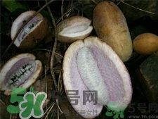 八月炸怎么吃法?八月炸的吃法 八月炸怎么吃法?八月炸的吃法