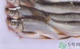鯛魚(yú)的營(yíng)養(yǎng)價(jià)值 鯛魚(yú)的功效與作用及食用方法 鯛魚(yú)的營(yíng)養(yǎng)價(jià)值 鯛魚(yú)的功效與作用及食用方法
