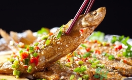 鯛魚(yú)的營(yíng)養(yǎng)價(jià)值 鯛魚(yú)的功效與作用及食用方法 鯛魚(yú)的營(yíng)養(yǎng)價(jià)值 鯛魚(yú)的功效與作用及食用方法