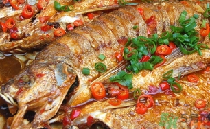 鯛魚(yú)的營(yíng)養(yǎng)價(jià)值 鯛魚(yú)的功效與作用及食用方法 鯛魚(yú)的營(yíng)養(yǎng)價(jià)值 鯛魚(yú)的功效與作用及食用方法