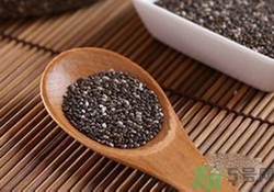 奇亞籽是什么？奇亞籽的功效作用