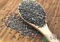 奇亞籽是什么？奇亞籽的功效作用