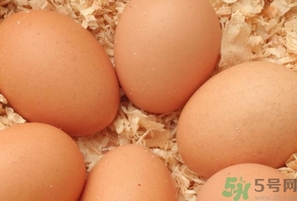 煮雞蛋用冷水還是熱水？煮雞蛋要多長時間？