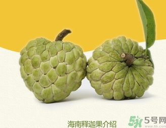 釋迦果怎么吃？釋迦的營(yíng)養(yǎng)價(jià)值功效作用