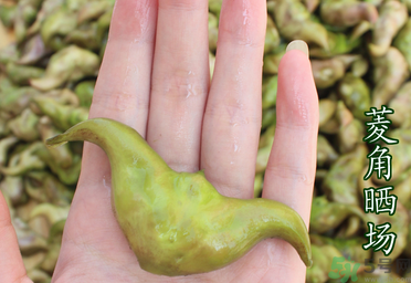 菱角懷孕可以吃嗎？孕婦能吃菱角嗎？