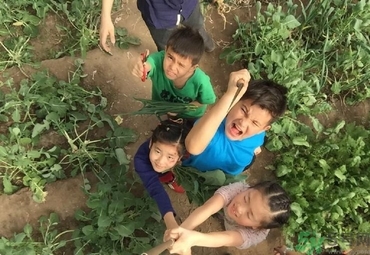 口吃怎么克服？口吃和舌頭有關系嗎？