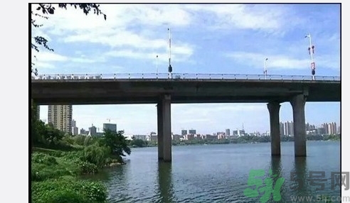 從多高的地方跳水會(huì)受傷？從多高的地方跳水會(huì)死亡？