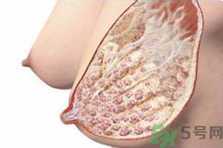 乳腺增生可以懷孕嗎？如何預(yù)防乳腺增生？