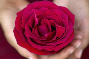 宮頸糜爛會影響生育嗎?宮頸糜爛對懷孕有什么影響? 宮頸糜爛會影響生育嗎?宮頸糜爛對懷孕有什么影響?