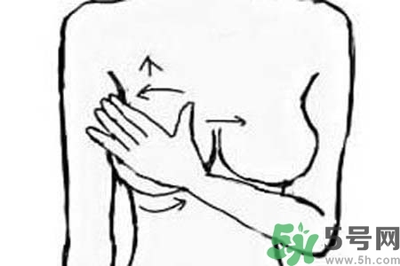 胸部一大一小正常嗎？怎樣糾正胸部一大一?。?></p><h3>注意事項(xiàng)</h3><p>如果以往乳房大小是一致的，但近期發(fā)生了改變；</p><p>如一側(cè)乳房增大，或一側(cè)乳房皮膚發(fā)生改變或皮膚出現(xiàn)小凹陷；</p><p>一側(cè)乳頭回縮或者抬高，還伴有疼痛、發(fā)癢、乳頭溢液等；</p><p>很可能是發(fā)生了病理改變，這就需要及時(shí)到醫(yī)院進(jìn)行檢查了。</p><p>建議通過(guò)局部按摩直接刺激乳房發(fā)育</p><p>合理的飲食和良好的睡眠</p><p>應(yīng)多吃一些高熱量的食物，如蛋類(lèi)，肉類(lèi)，豆類(lèi)及富含植物油的食物</p><p>慎用豐乳霜</p>		</div>
<div align=