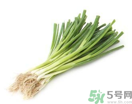 大蔥和香蔥的區(qū)別是什么?大蔥和香蔥能一起吃嗎? 大蔥和香蔥的區(qū)別是什么?大蔥和香蔥能一起吃嗎?