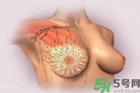 乳頭發(fā)黑怎么辦？怎么樣可以使乳頭變白？