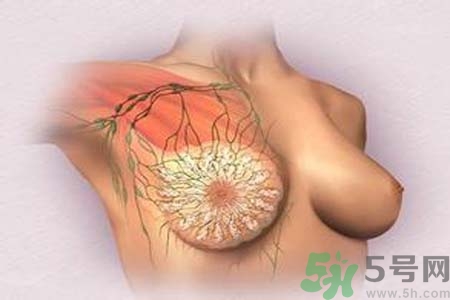 乳頭發(fā)黑是怎么回事？乳頭發(fā)黑是什么原因？