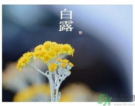 白露身不露是什么意思？白露還熱嗎？