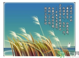 白露茶是什么茶？白露為什么要喝白露茶？