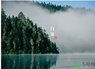 白露喝什么茶？白露養(yǎng)生茶飲推薦