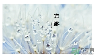 白露吃什么好？白露食療