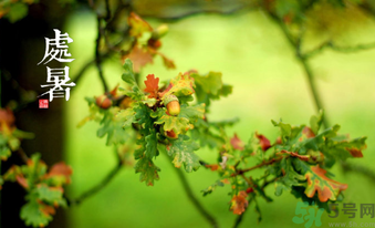 處暑如何養(yǎng)生？處暑養(yǎng)生要注意什么？