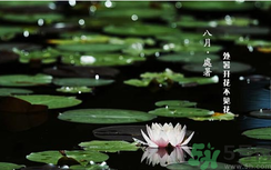 處暑如何養(yǎng)生？處暑養(yǎng)生要注意什么？