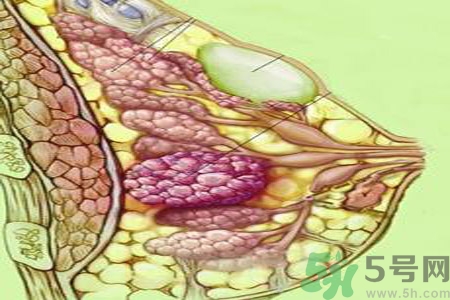 怎樣區(qū)分乳房包塊是良性還是惡性？如何診斷乳房腫塊是惡性還是良性？