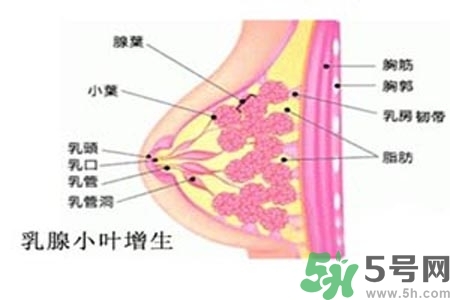 乳房上有硬塊怎么辦？乳房有硬塊的病因是什么？