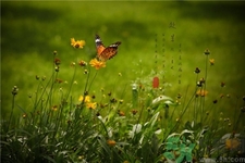 處暑代表什么?處暑的時間代表什么? 處暑代表什么?處暑的時間代表什么?