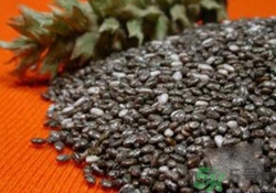 孕婦可以吃奇亞籽嗎？孕婦吃多少奇亞籽比較好？